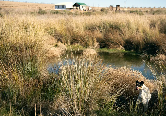 Una de las charcas artificiales en La Junquera para retener agua, controlar la erosión, rellenar el acuífero y crear una zona de biodiversidad.