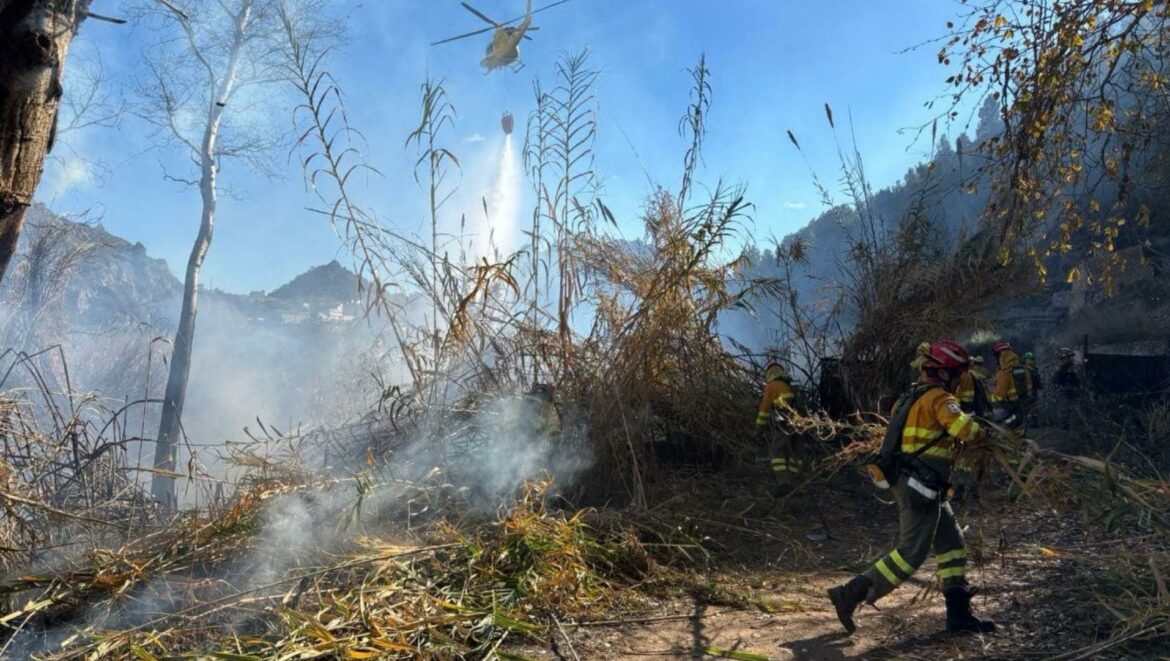 Medios terrestres y aéreos sofocan dos incendios en los márgenes del río Segura a su paso por Abarán