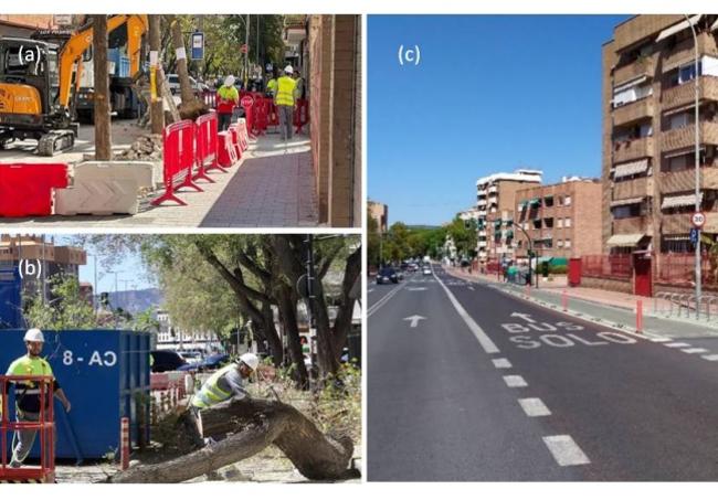 Talas de árboles en la calle Pintor Pedro Flores y Plaza Juan XXIII, y ensanchamiento sin arbolado de una de las aceras de la avenida Pío Baroja, realizados con motivo del último Plan de Movilidad de la ciudad de Murcia (2023).