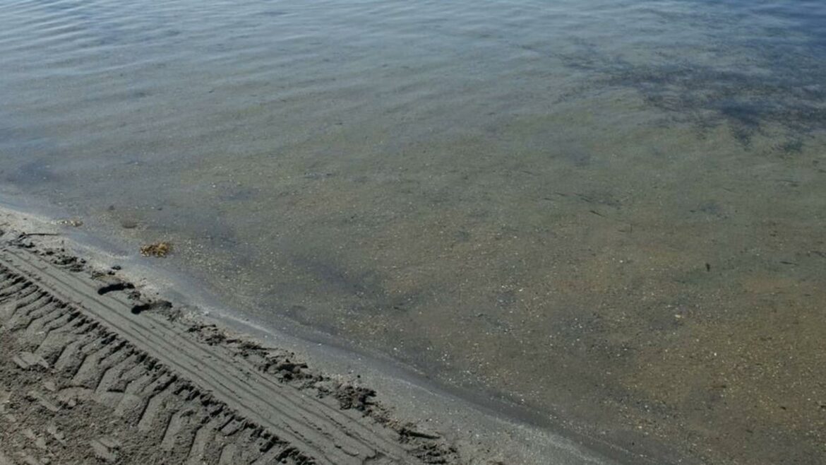 Comienza el proceso para nombrar a los vocales del Comité Científico del Mar Menor