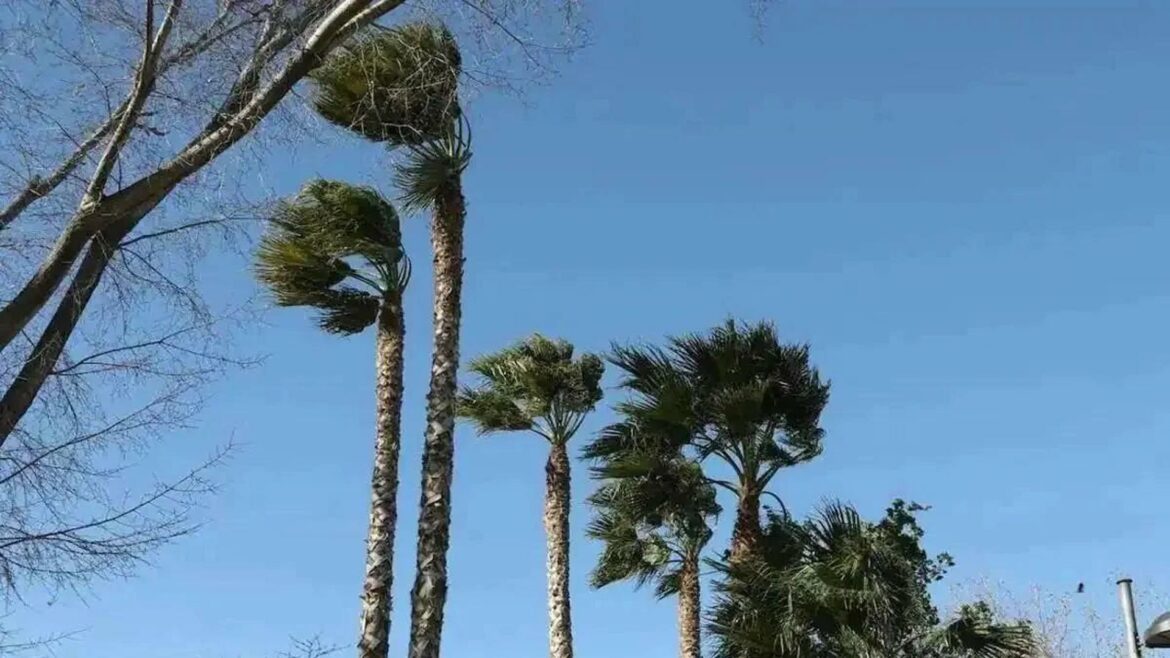 La Aemet activa un aviso de nivel amarillo por fuertes vientos en el Altiplano