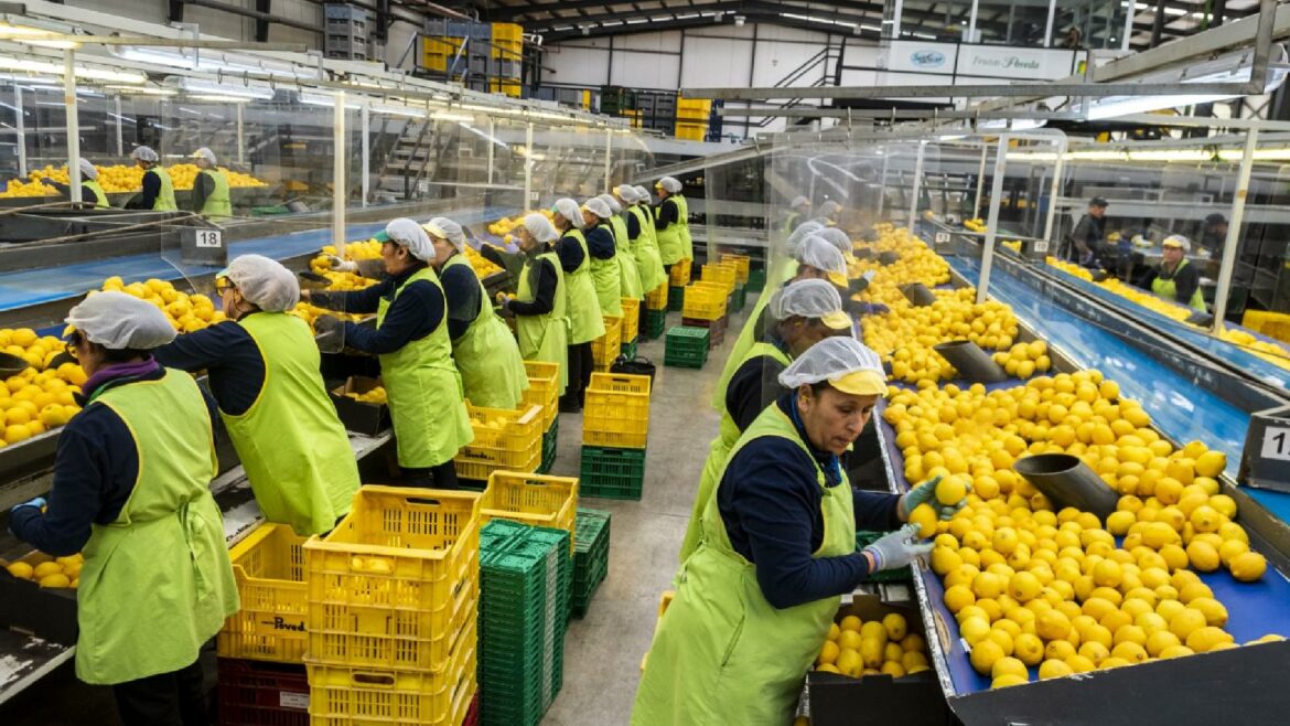 La preocupación por los aranceles de Trump se extiende en la Región tras señalar ya a la alimentación