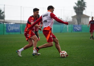 La nueva ciudad deportiva del Real Murcia sigue a la espera