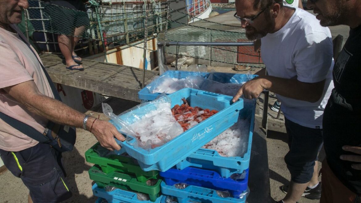 El recorte de 13.300 kilos en la pesca de gamba roja acaba en los tribunales