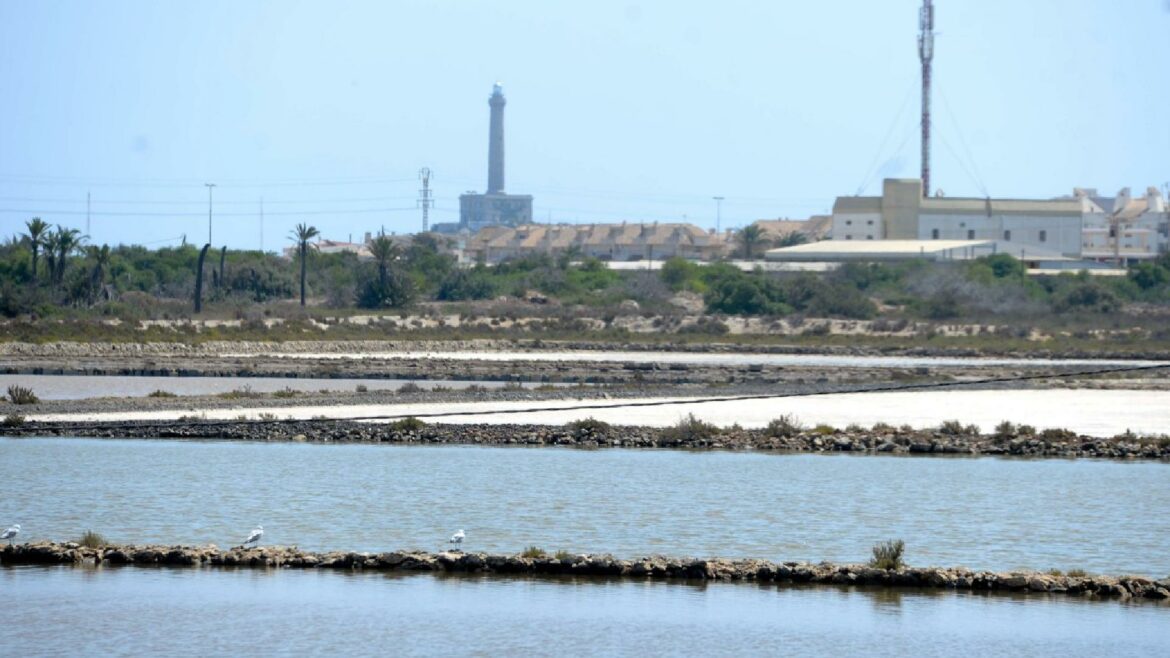 El proyecto de la Comunidad para expropiar y restaurar las salinas de Marchamalo sufre otro retraso