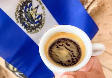 El error con la cafetera italiana que pone en riesgo tu salud: «Es el paraíso para el moho»