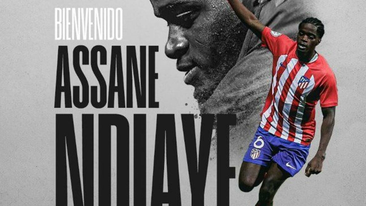 Assane Ndiaye refuerza la medular del Cartagena