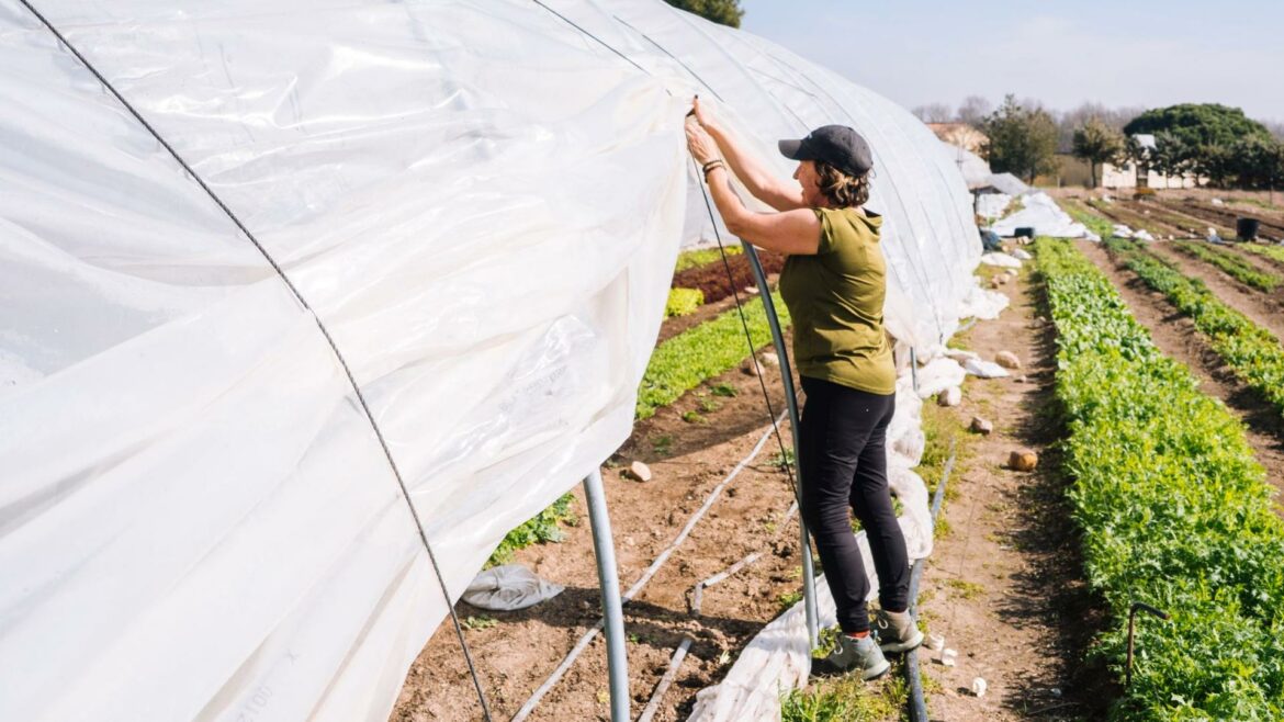 El CES afea a Díaz un plazo «poco claro» para reducir la jornada y reclama «más flexibilidad»