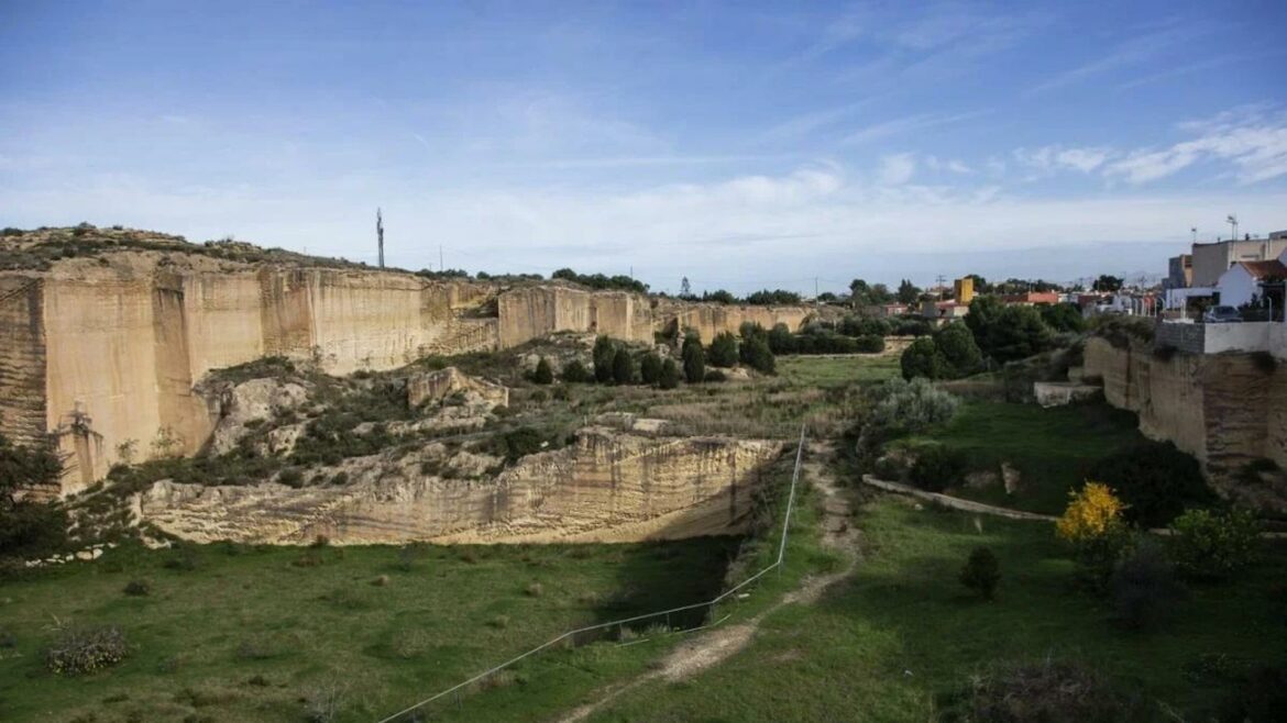 A concurso la nueva fase del proyecto Bosque Romano de Cartagena