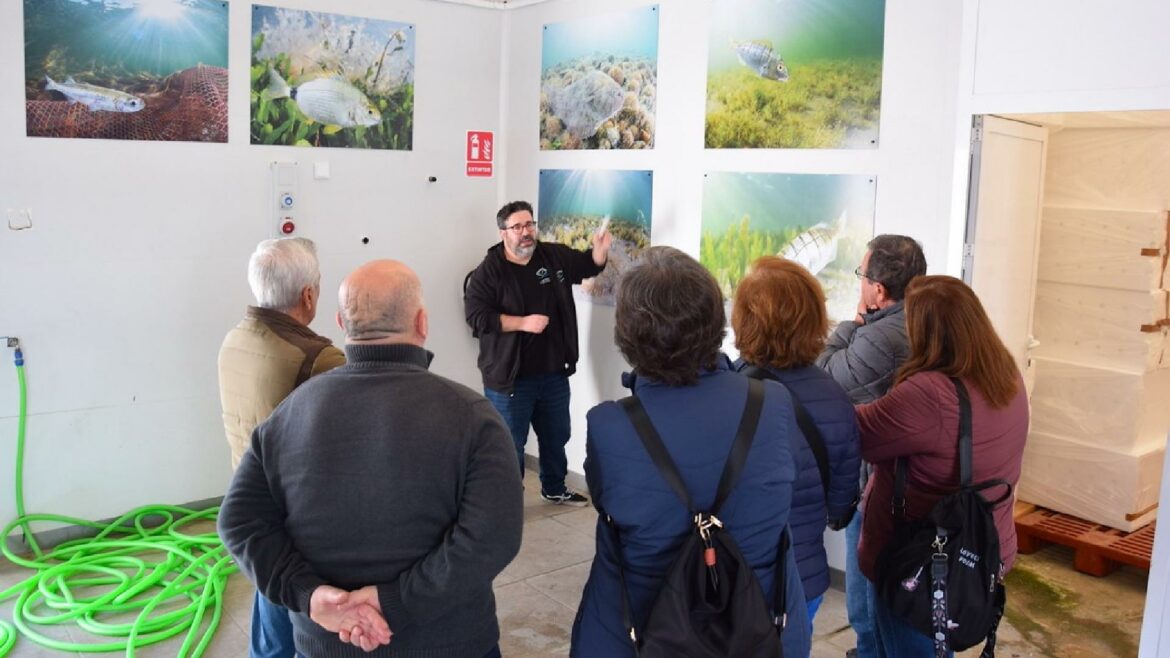 La lonja de Lo Pagán se abre al turismo con visitas guiadas y una exposición