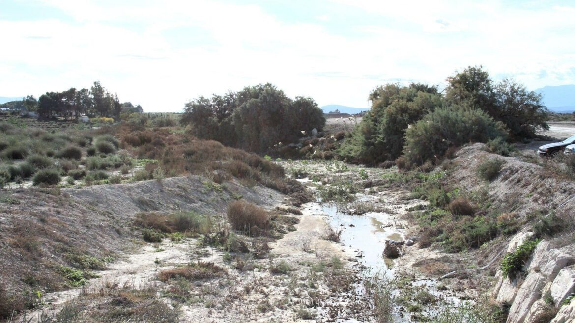 La CHS expropiará fincas en Molina de Segura para evitar inundaciones en el núcleo urbano