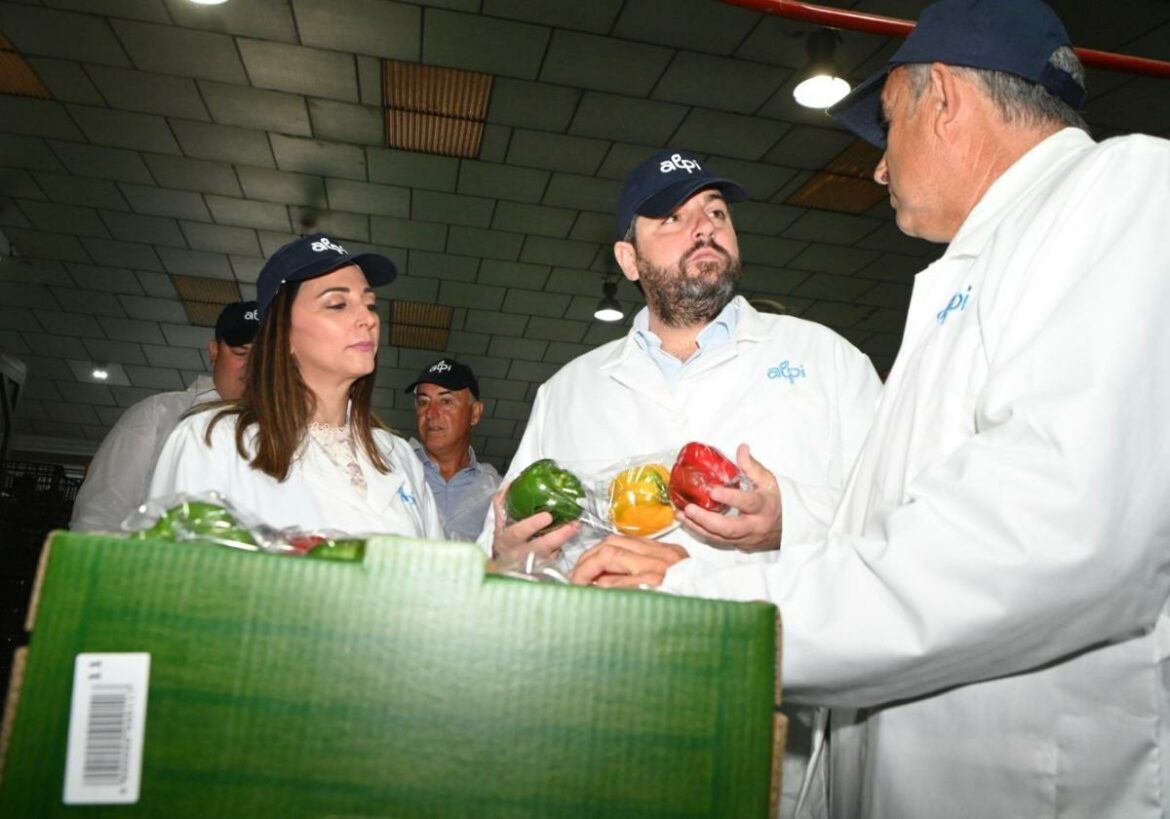 Casi 90 millones de fondos europeos para los productores hortofrutícolas de la Región de Murcia