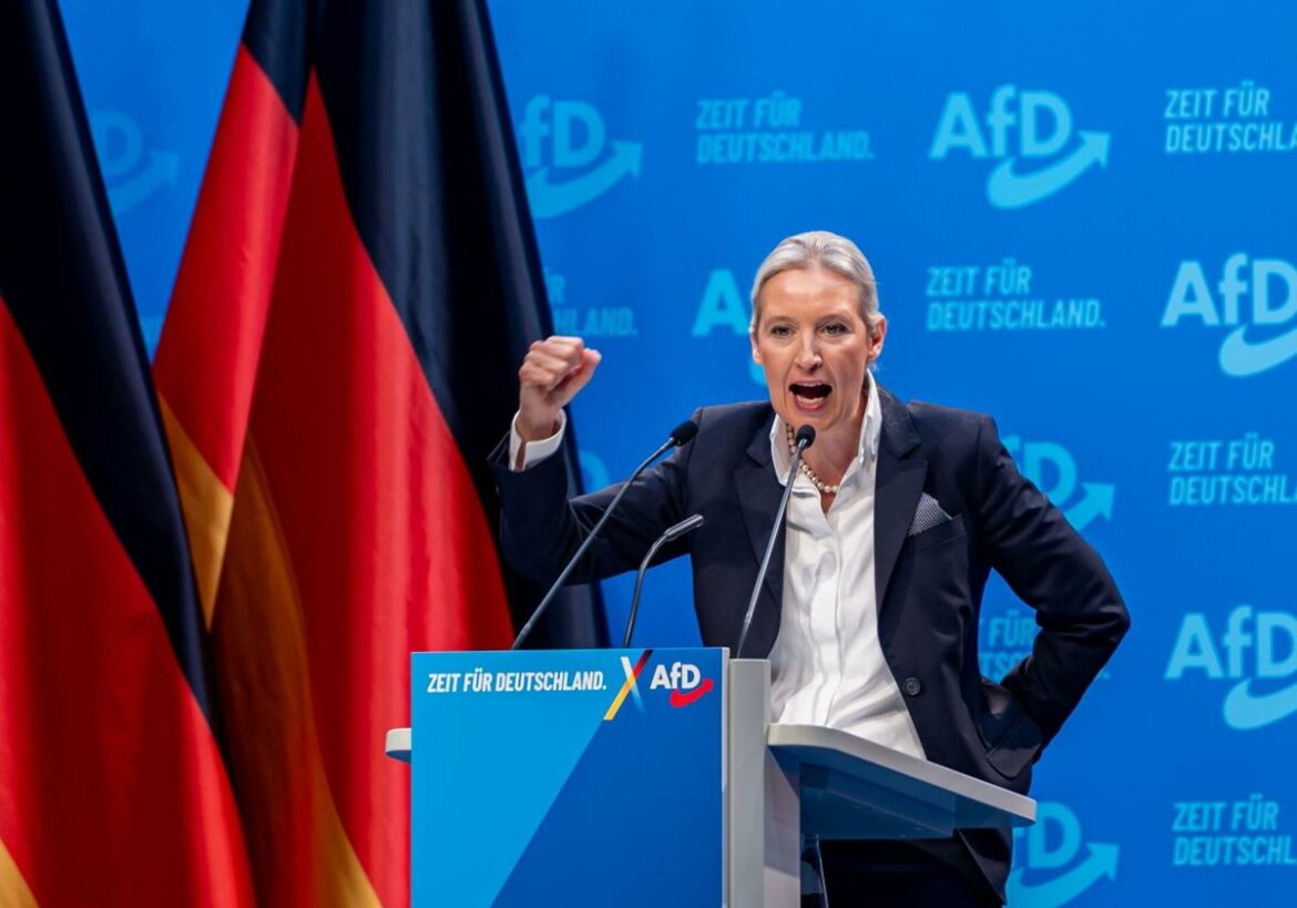 La Inteligencia alemana clasifica a AfD como «extremista» y considera que es una amenaza para la democracia