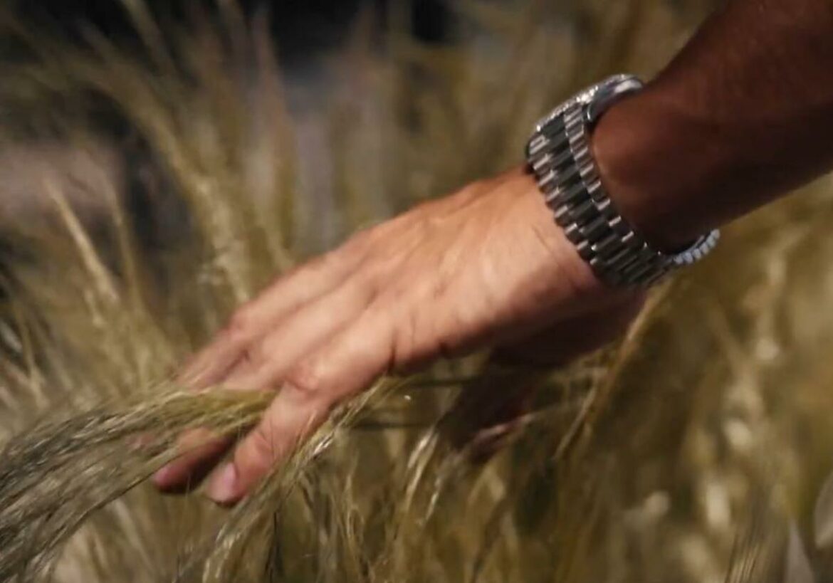 Carlos Alcaraz, obsesionado con la película ‘Gladiator’ en Roma