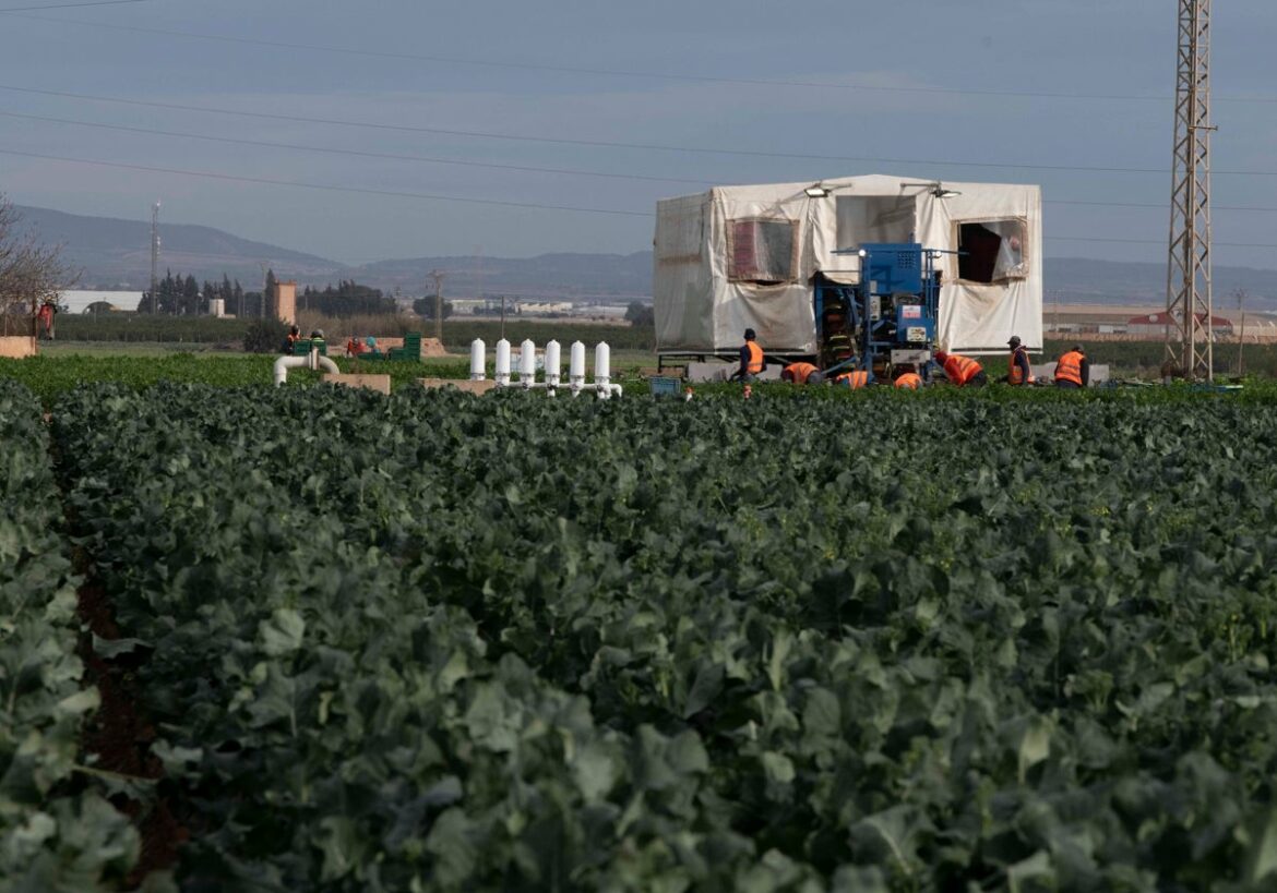 La Región de Murcia logra una posición común entre las comunidades frente al posible recorte de la PAC en 2027