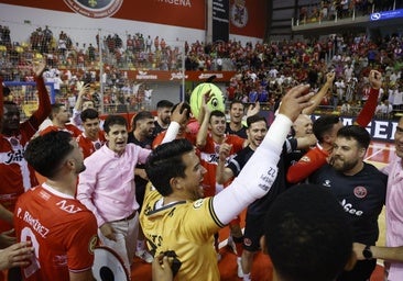 Walter Fernandes da Costa, ‘Waltinho’: «Todavía tengo balas en la pistola para seguir aquí muchos años y ayudar a ganar más títulos»