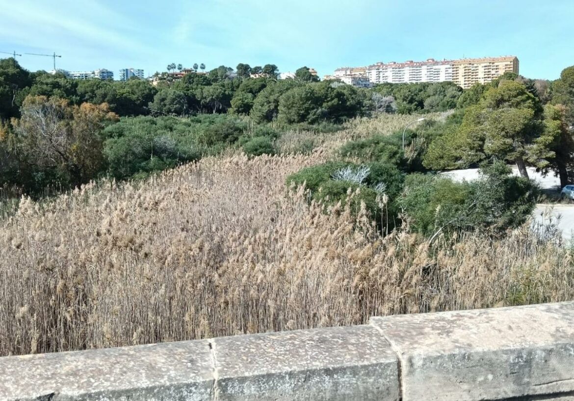 Vecinos de Campoamor exigen al edil de Costas mejoras urgentes en la localidad