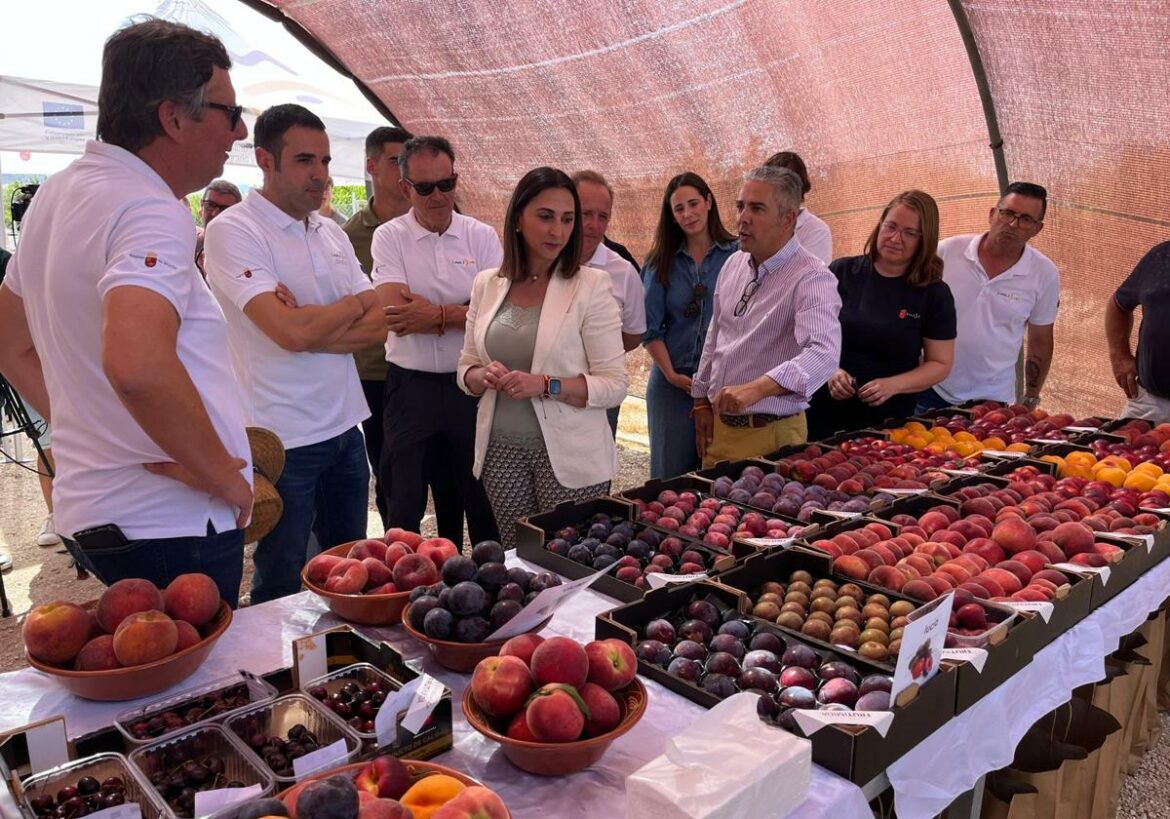El Imida crea dos variedades de melocotón y una de platerina