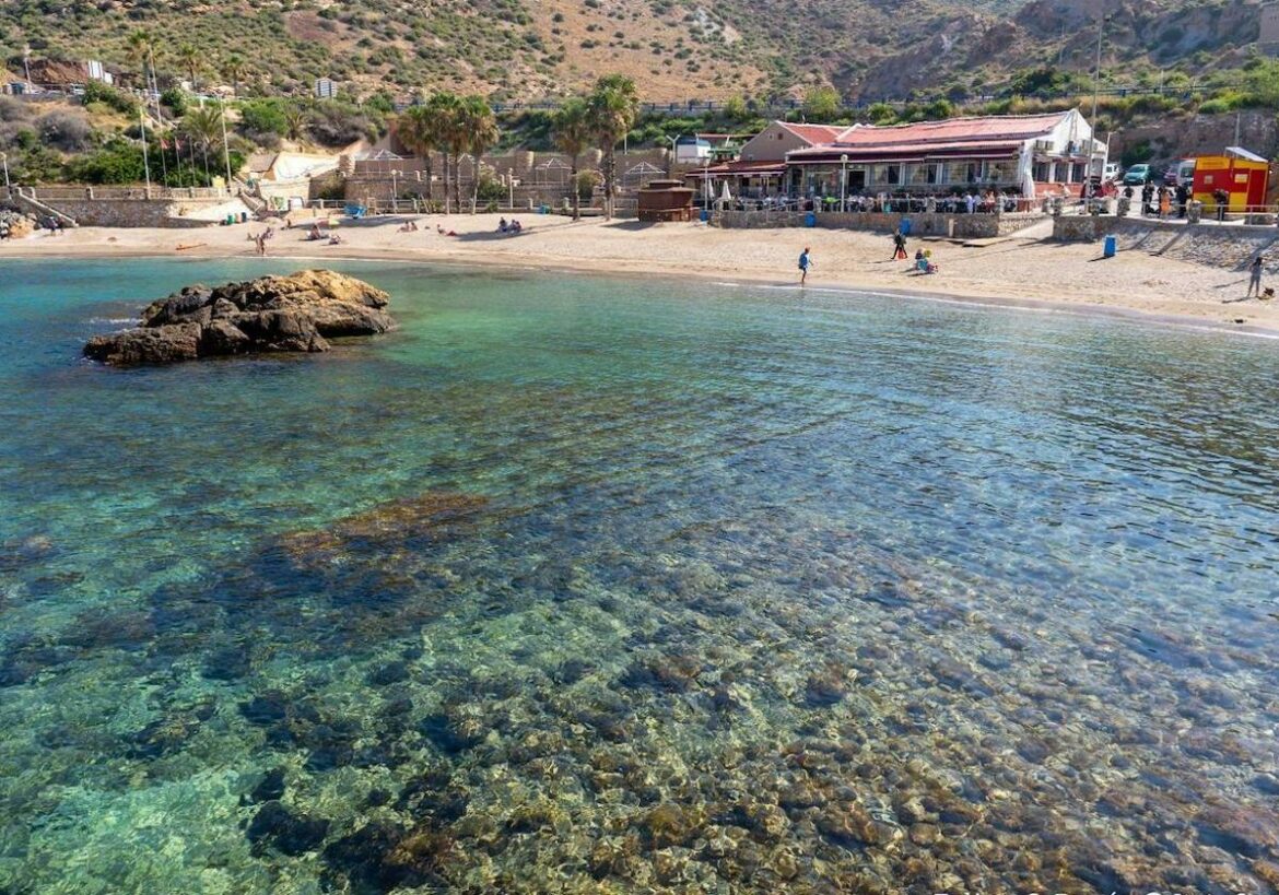 Ver una película de tiburones desde flotadores en Cartagena: así será una original proyección en una playa
