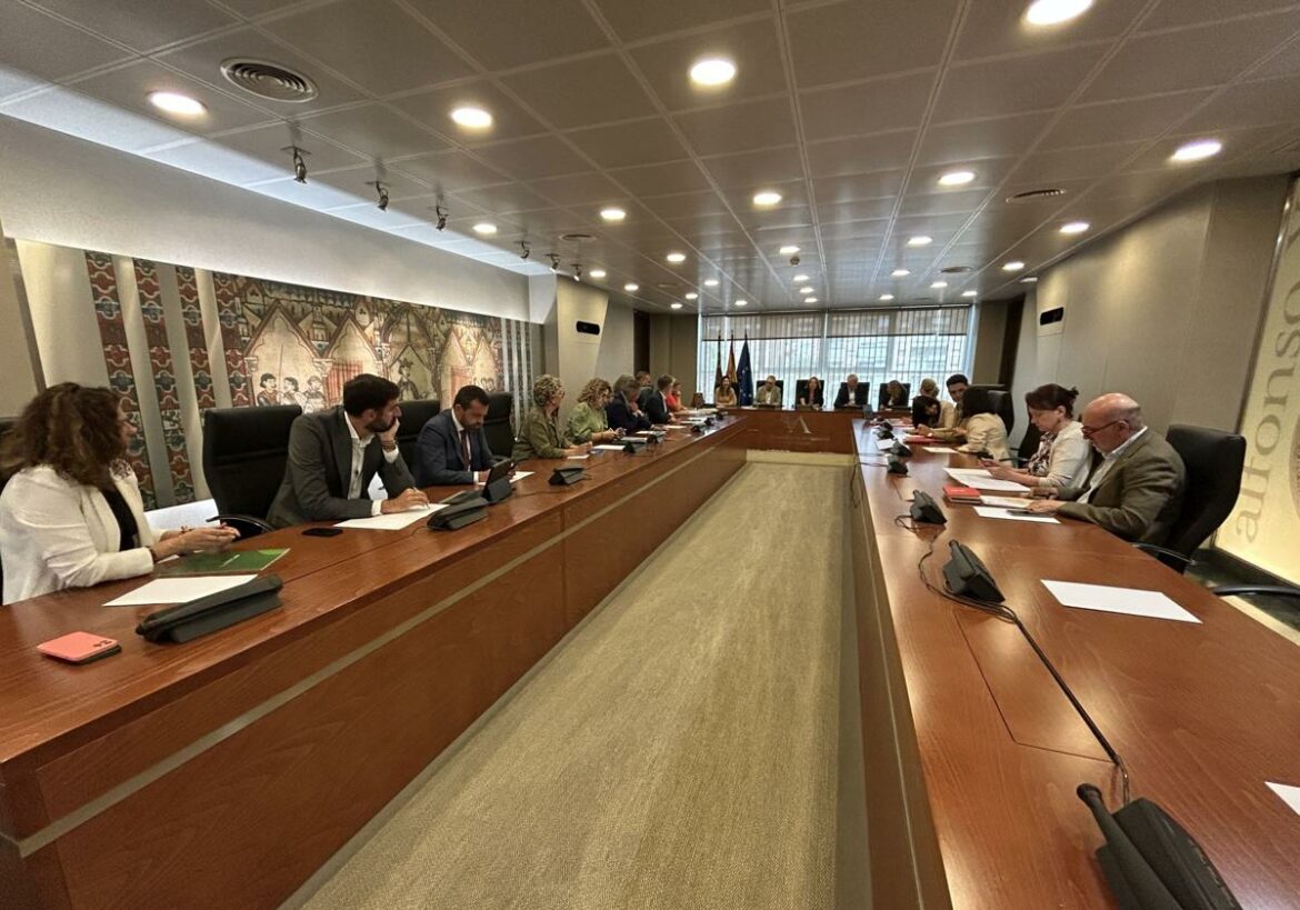 El decreto de simplificación, abocado a tramitarse como proyecto de ley