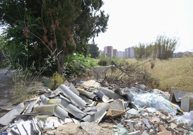 Joven Futura acusa al Ayuntamiento de Murcia de eliminar los 150.000 euros para el parque Metropolitano