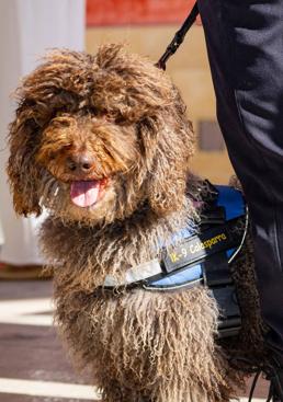 Ika ‘estrena’ la nueva unidad canina de Calasparra