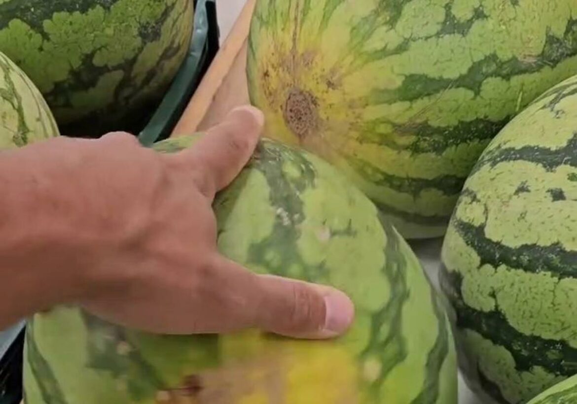 El truco para elegir la mejor sandía del supermercado