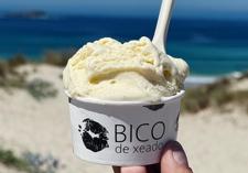 1. Bico de Xeado