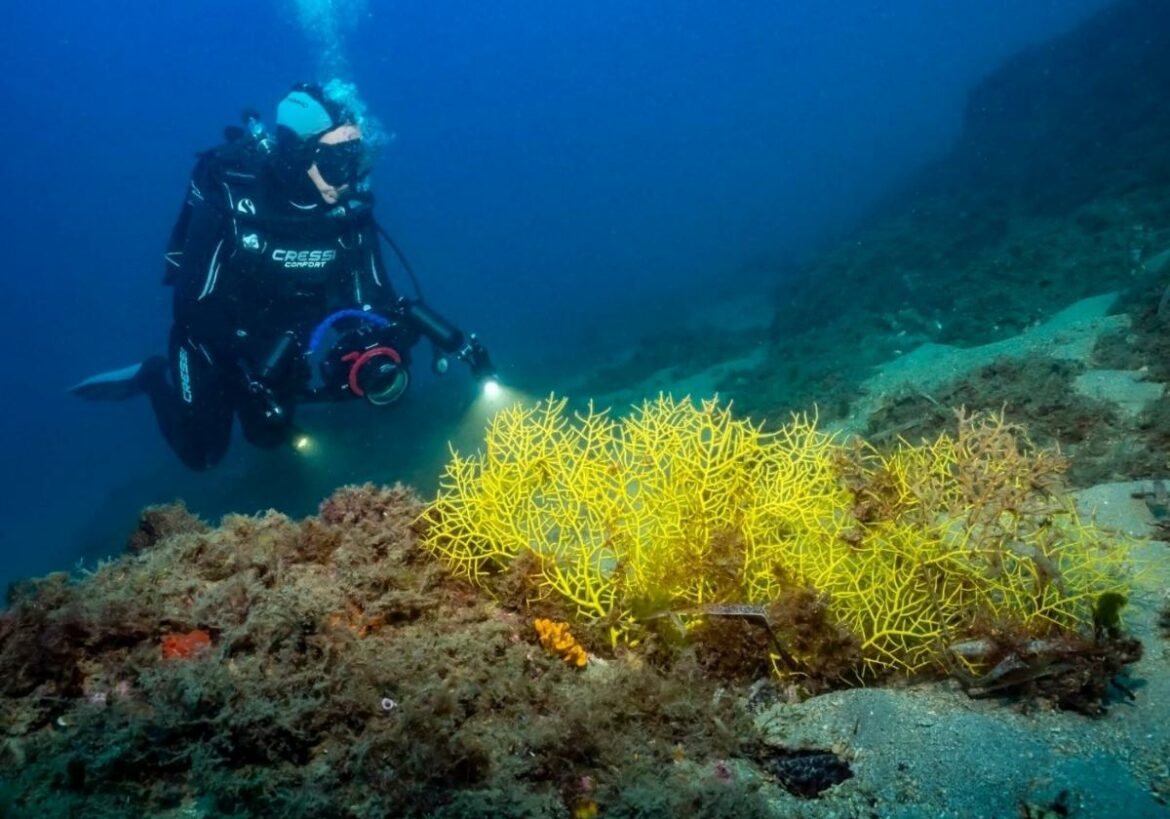 El Ministerio endurecerá la navegación y el buceo en las aguas estatales de Cabo Cope