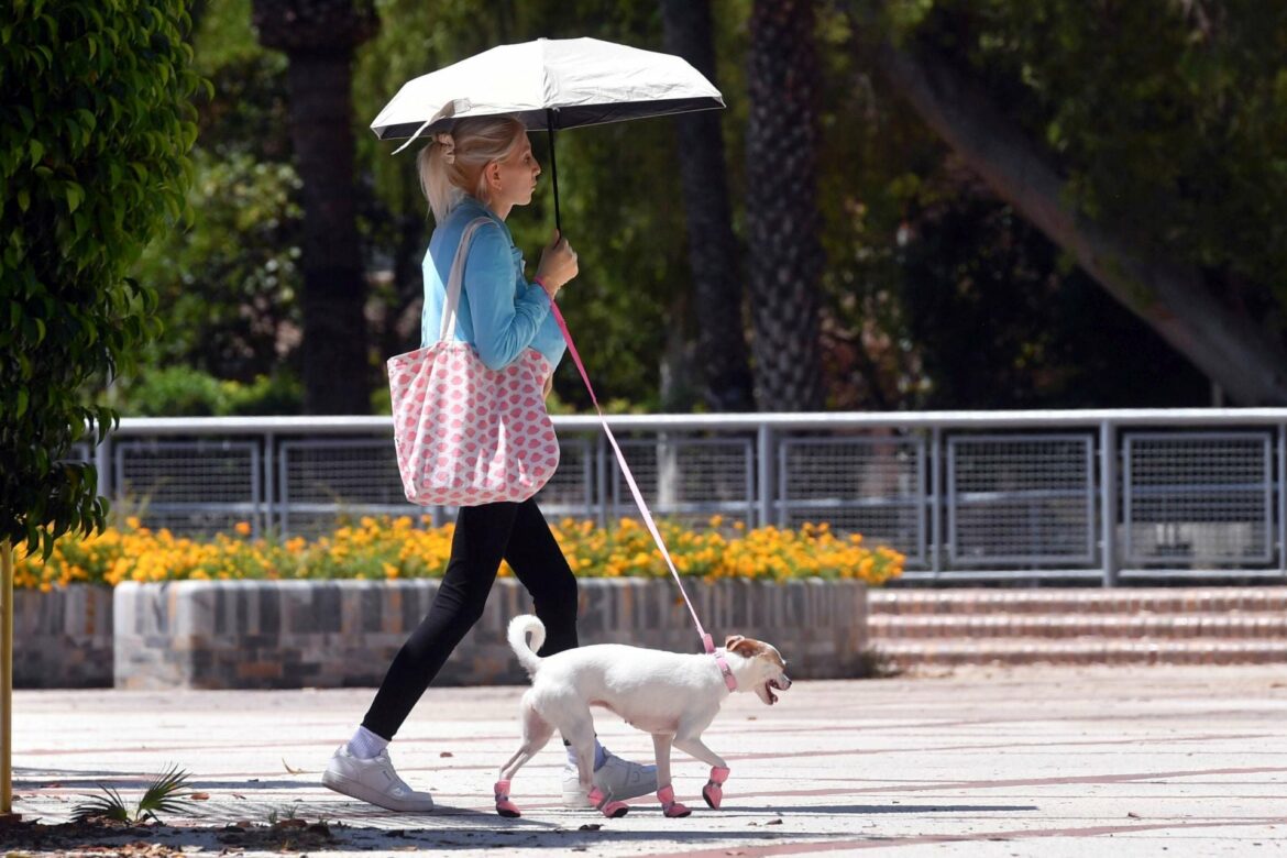Las 27 localidades de la Región de Murcia que llegarán a los 40 grados hoy y mañana