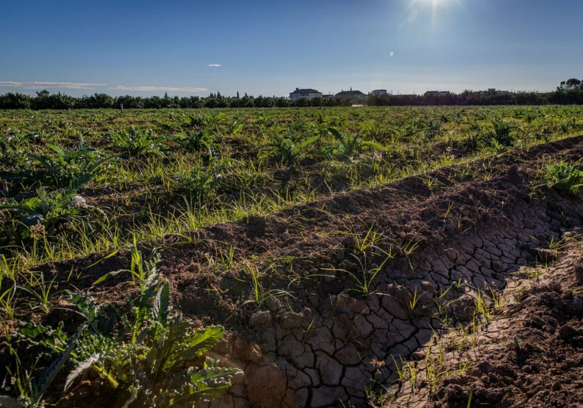 La UMH organiza este jueves en Orihuela un seminario para conectar la ciencia y el sector agroalimentario