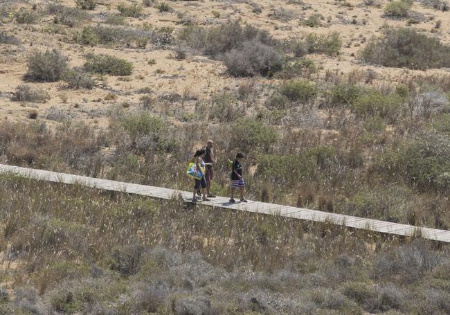 Los atropellos de fauna en el Parque Regional de Calblanque siguen aumentando