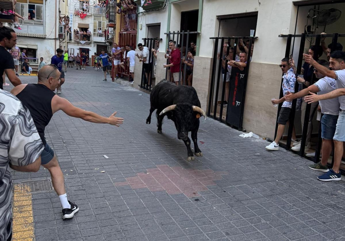 Encierro de este sábado en Moratalla.