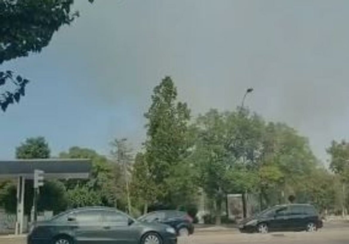 Un incendio de matorral en La Fica, junto a una zona de chabolas, alerta a los bomberos