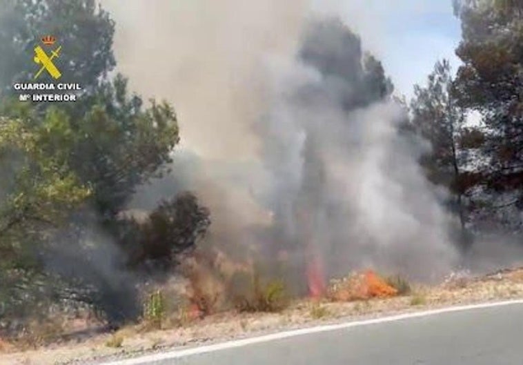Los incendios provocados en el monte de Bullas.