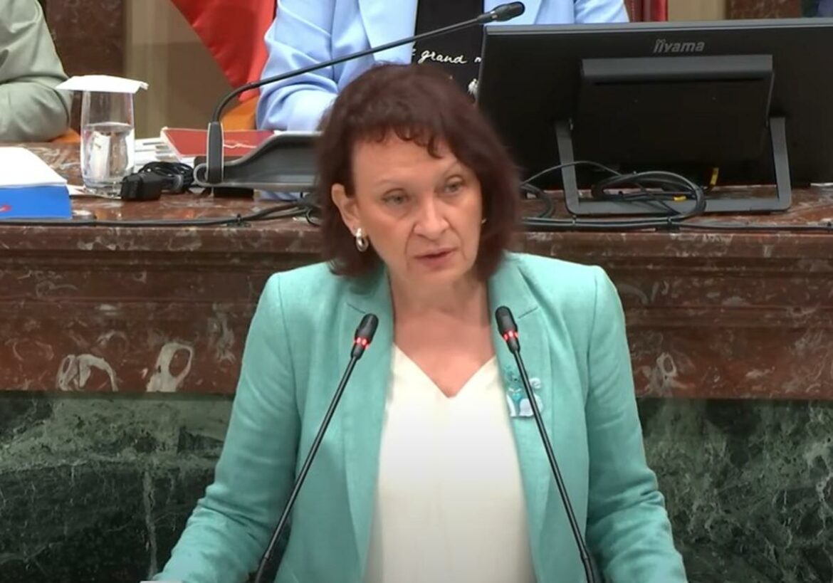 Podemos alerta de que «Torre Pacheco no puede convertirse en una zona de guerra de bandas de extrema derecha»