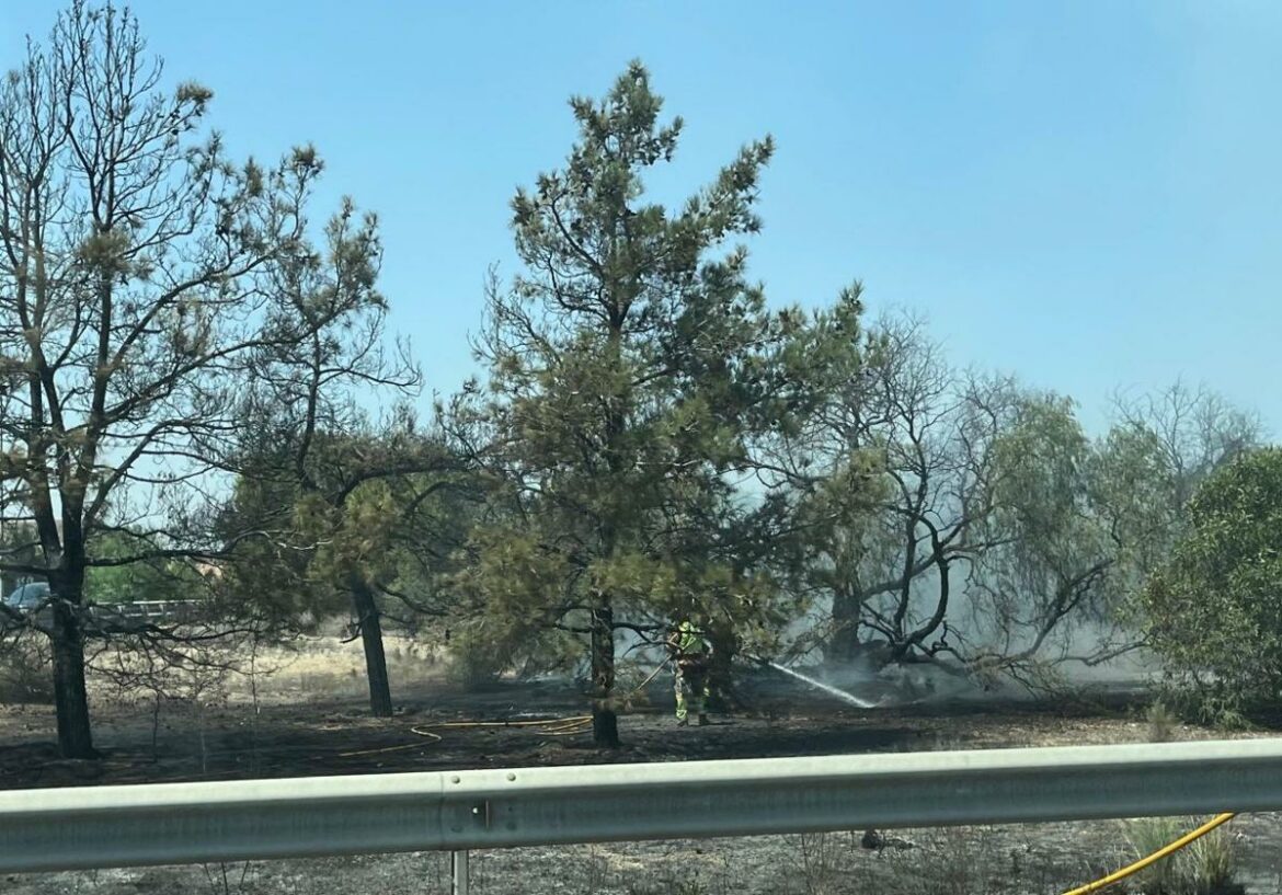 Declarado un incendio con varios focos la bajada del Puerto de la Cadena, en Murcia