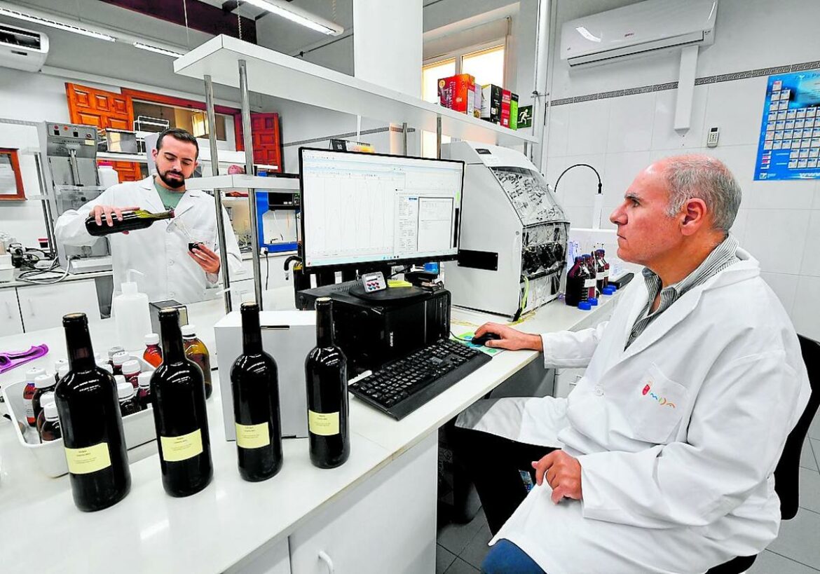 El vino regional asume el daño del 15% de aranceles de EE UU, pero confía en aguantar ventas