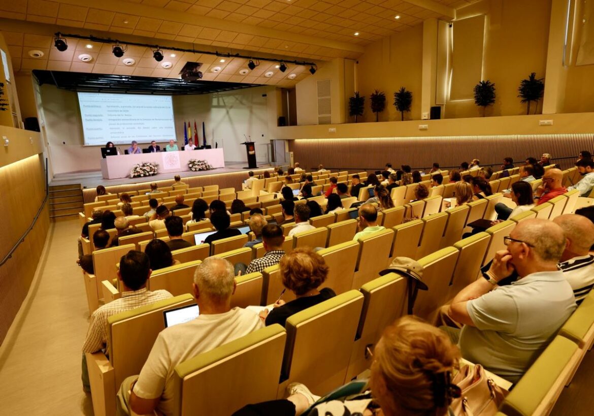 La UMU retrocede en el ranking de universidades mundiales