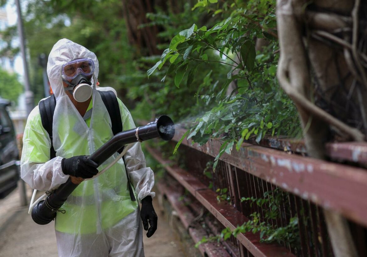 Un brote de chikungunya infecta a más de 7.000 personas en China y dispara las alarmas en el mundo