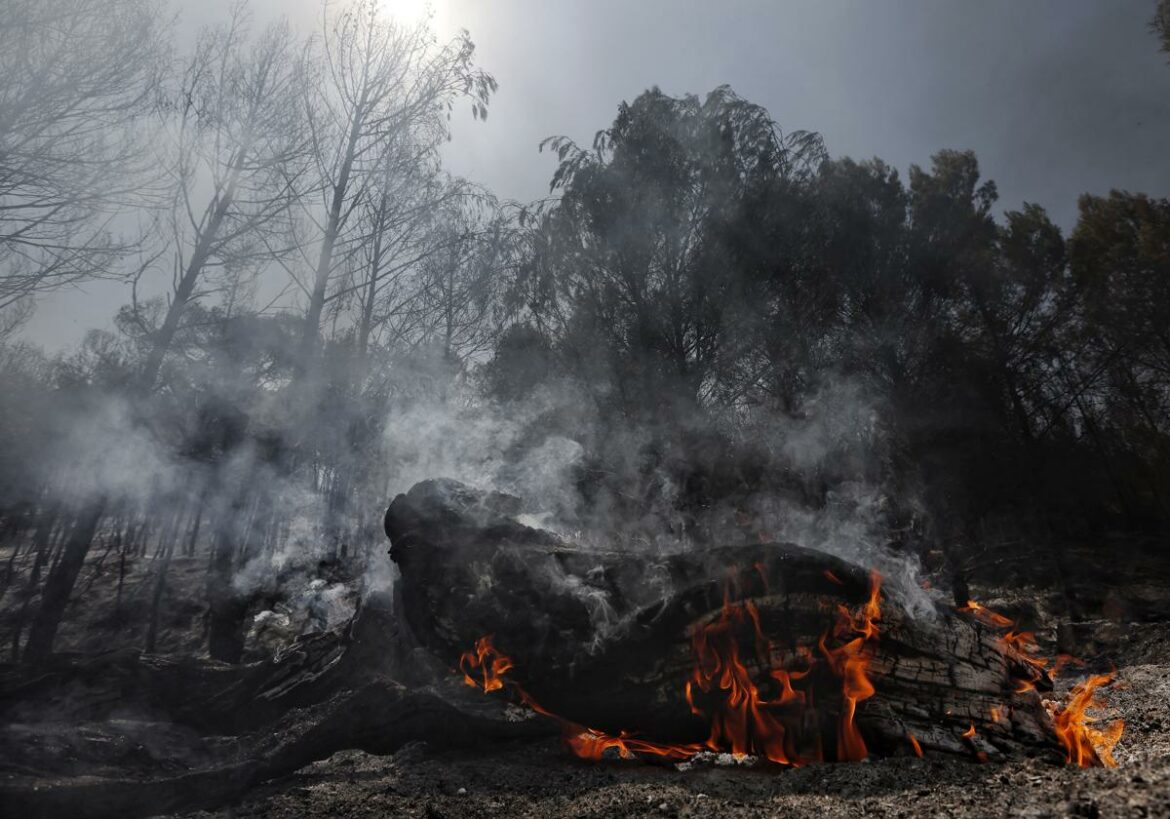 El Gobierno activa la fase de preemergencia ante los múltiples incendios de la península