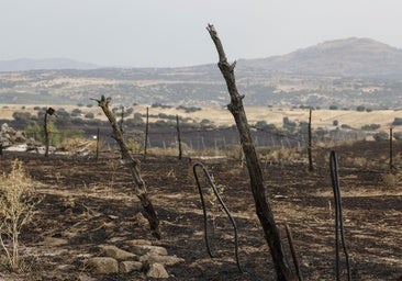 AEMET alerta de la posible propagación de incendios por las tormentas secas