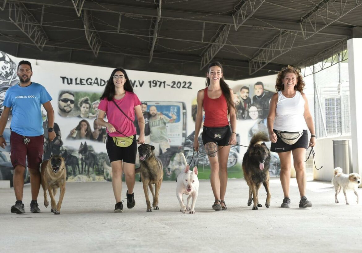 Los hoteles para perros, cada vez más demandados en Murcia: «Estamos completos desde junio»
