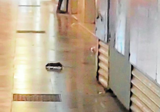 El mal estado de los solares provoca la aparición de ratas en la calle Mayor de Cartagena