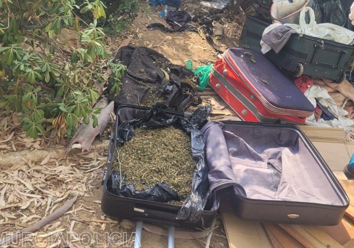 Una maleta abandonada en el centro de Murcia con casi un kilo y medio de marihuana