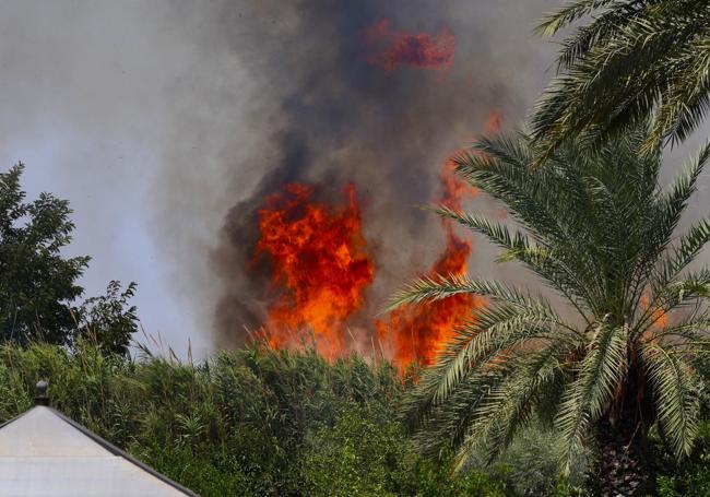Los bomberos trabajan en un incendio cercano a viviendas en El Palmar