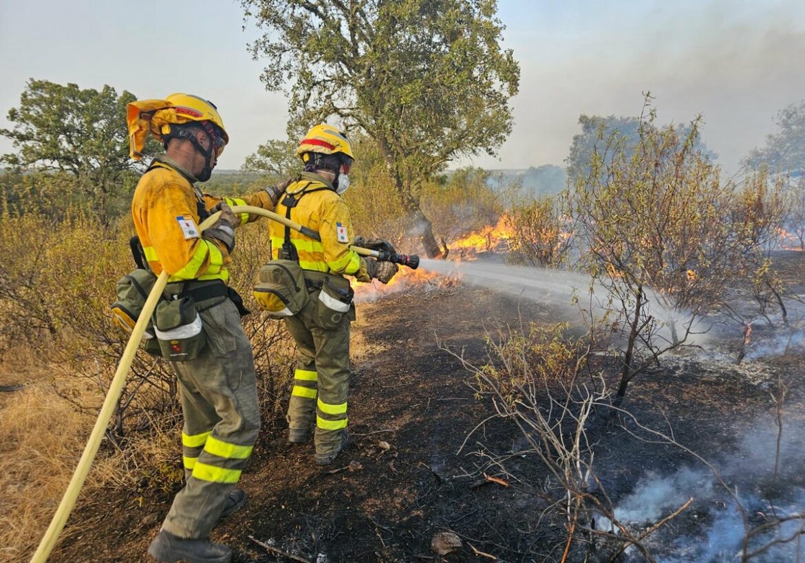 «No es lo mismo apagar un pinar en Murcia que un jaral extremeño; tienes que adaptarte sobre la marcha»