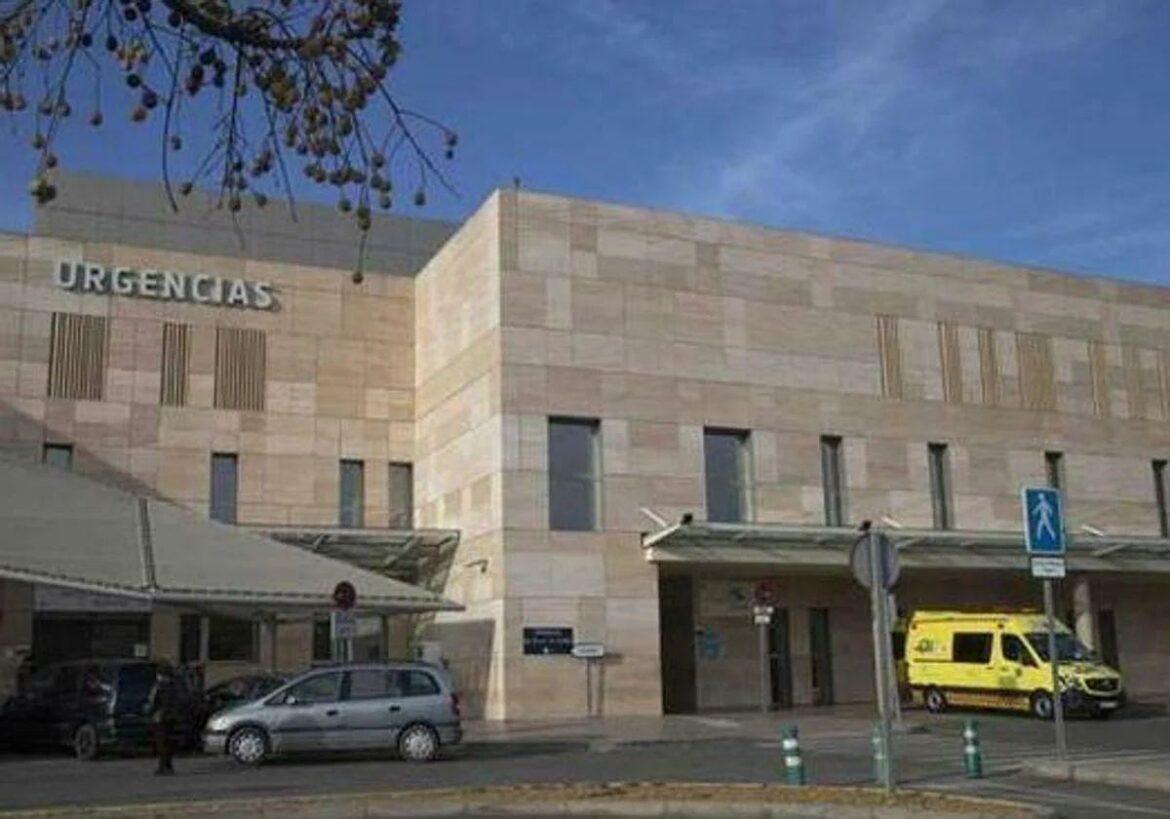 Herida al chocar con su coche contra una palmera en Cartagena