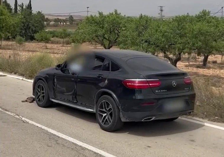 Investigado por arrojar un gato desde un coche y atropellarlo hasta la muerte en Murcia