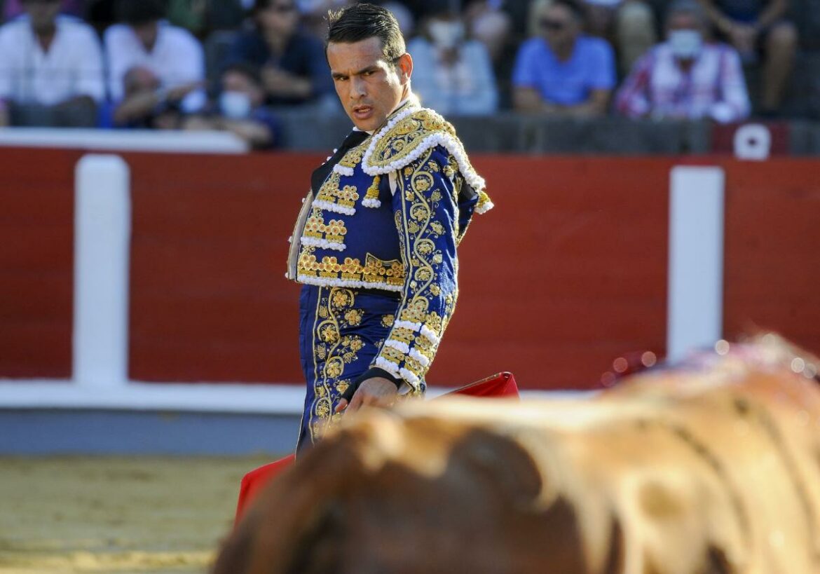 José María Manzanares: «Torear y que parezca fácil es lo más difícil»